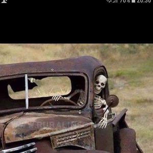 Meet your Posher, Shelly